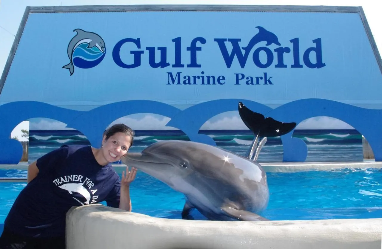 Lägenhet Splash 207E Panama City Beach USA